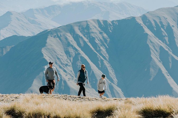 Cardrona Summer Gondola Sightseeing Pass - Practical tips to get the most from your gondola afternoon