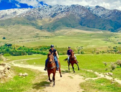 Cardrona Valley: Horse Trekking Experience