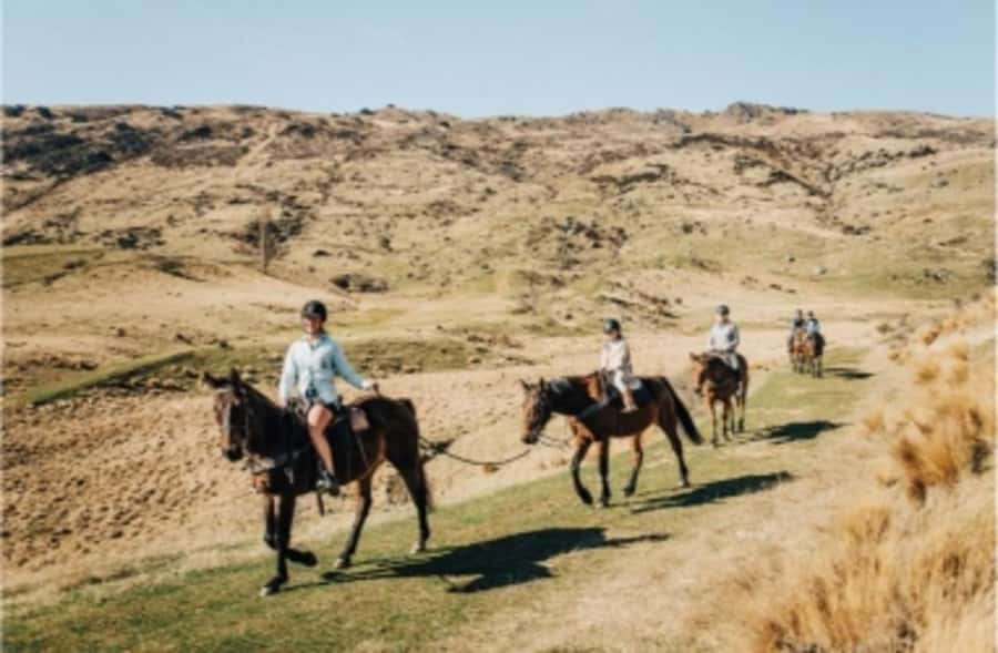 Cardrona Valley: Horse Trekking Experience - The trail ride: what you’ll do once you’re mounted