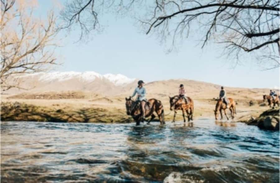Cardrona Valley: Horse Trekking Experience - Price and value: what $298 buys you here