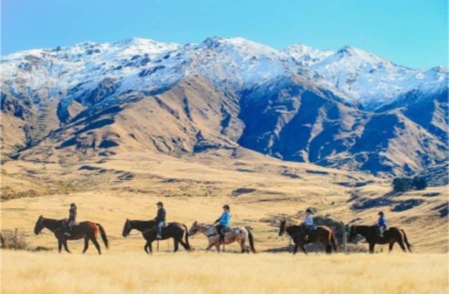 Cardrona Valley: Horse Trekking Experience - Practical tips to get the most out of your ride