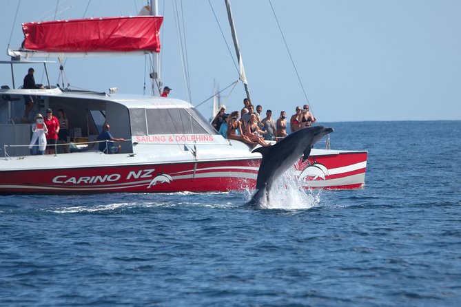 Carino Wildlife Cruises - Island and Wildlife Day Cruise - Key highlights you will actually care about