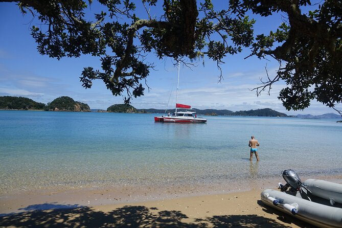 Carino Wildlife Cruises - Island and Wildlife Day Cruise - Kiwi-style BBQ lunch and the drinks policy for your budget