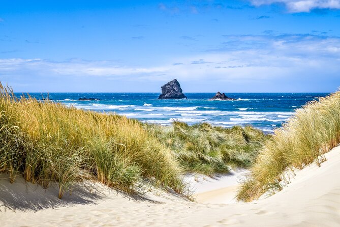 Castle, Coast & City Tour - 8 pax max - Castle Entrance Included - Key highlights that matter