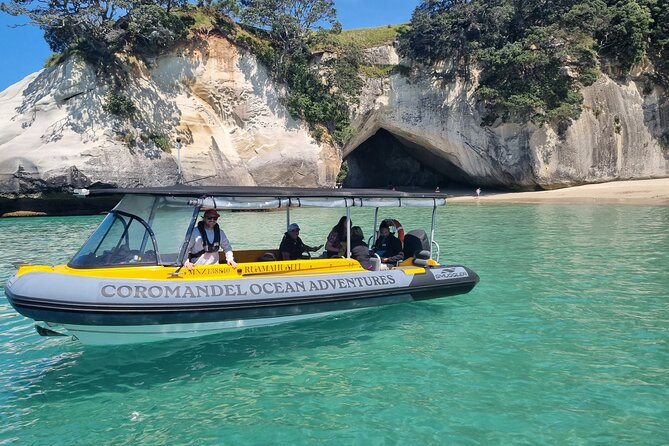 Cathedral Cove 2 Hour Guided Tour Explore Marine Wonders - Key Highlights You Should Know