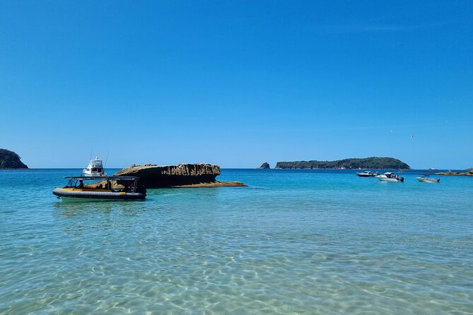 Cathedral Cove 2 Hour Guided Tour Explore Marine Wonders - From Tairua Marina to Coromandel Views That Move