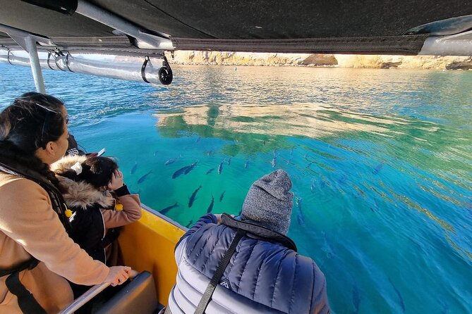 Cathedral Cove 2 Hour Guided Tour Explore Marine Wonders - Boat Harbour: A Quick Stop That Sets Up the Bigger Sights