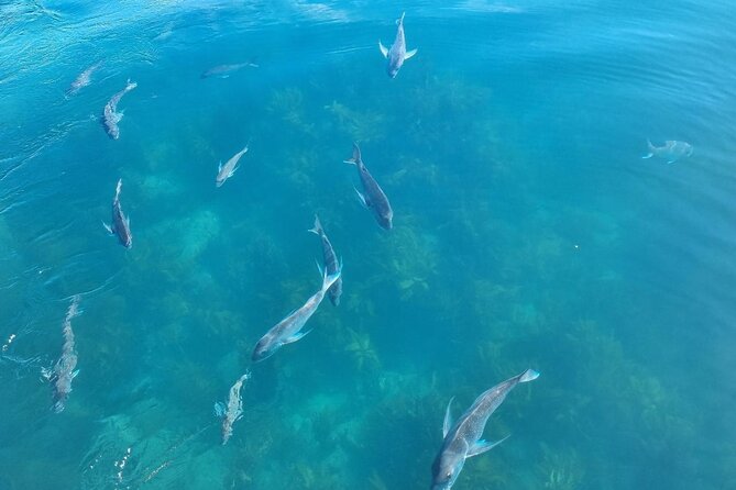 Cathedral Cove 2 Hour Guided Tour Explore Marine Wonders - Orua Sea Cave: Why the Cave Stop Is Worth the Time