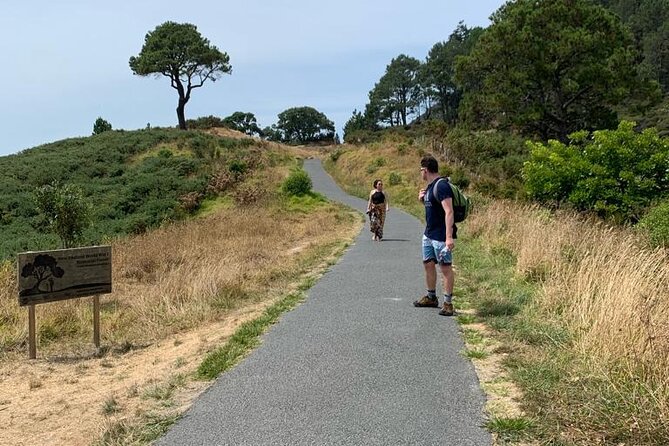 Cathedral Cove and Hot Water Beach Scenic Day Tour from Auckland - What the tour price buys you, and what it does not