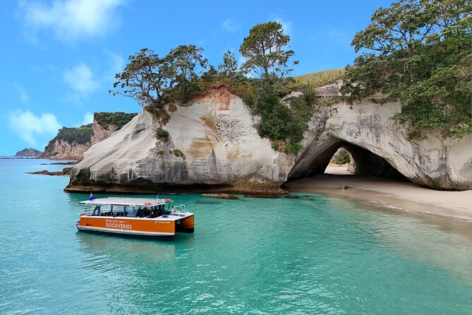 Cathedral Cove Coast and Cave Activity - Mercury Bay’s Cathedral Cove, Seen From the Water