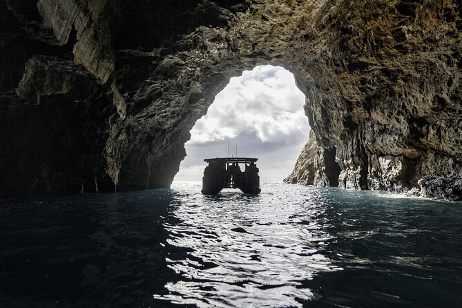 Cathedral Cove Coast and Cave Activity - Key Highlights You’ll Actually Feel on the Day