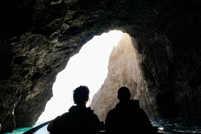 Cathedral Cove Coast and Cave Activity - The Best Part: Snorkeling in the Cathedral Cove Marine Reserve