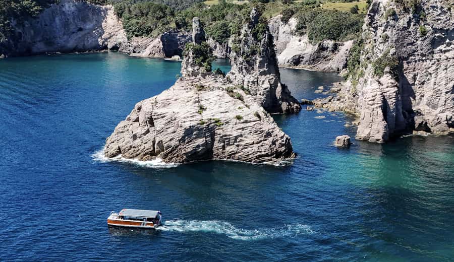 Cathedral Cove Coast and Cave Tour - Whitianga to the Pacific, in About 2.5 Hours
