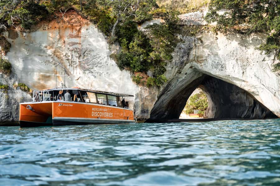 Cathedral Cove Coast and Cave Tour - Cathedral Cove: The Stop That Sets the Tone
