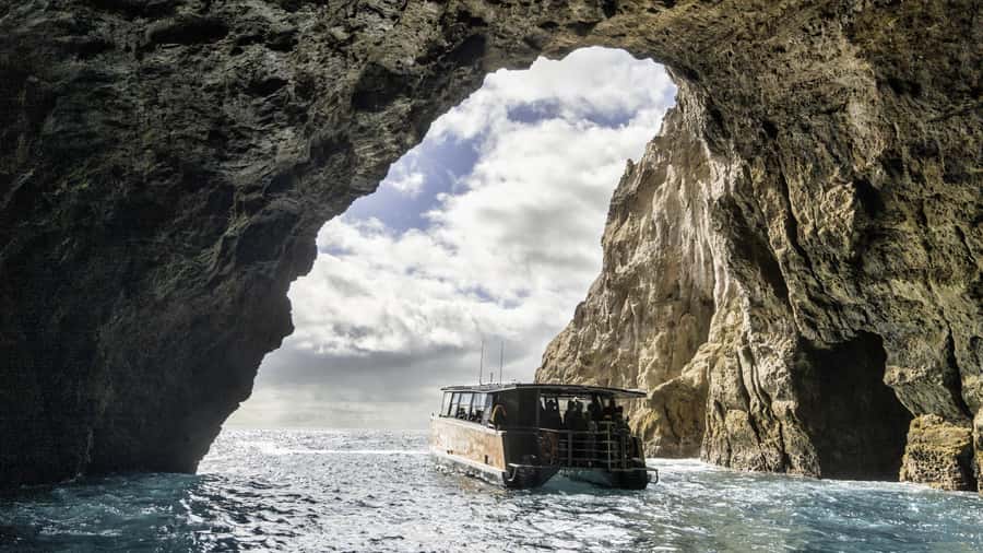 Cathedral Cove Coast and Cave Tour - Dolphins, Seals, and Other Coastline Extras