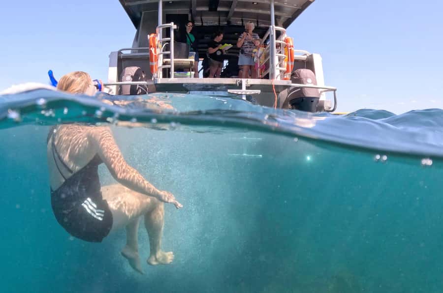 Cathedral Cove Coast and Cave Tour - Safety and Smooth Water Time