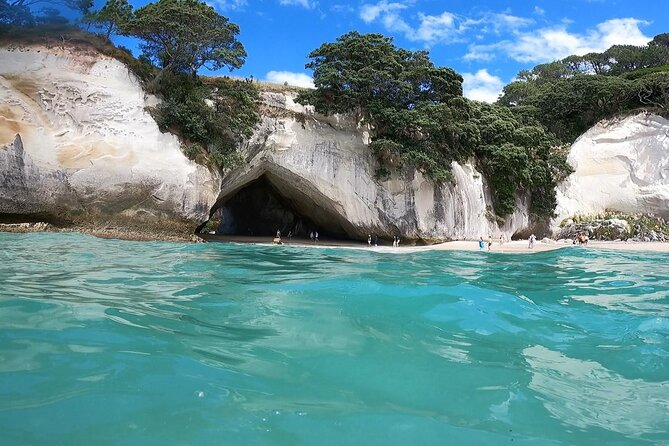 Cathedral Cove & Coromandel Peninsula Small-Group Day Tours - Key Highlights You Should Know Before You Go
