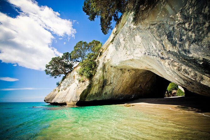 Cathedral Cove & Coromandel Peninsula Small-Group Day Tours - From Auckland With No Car Rental, Just a Plan