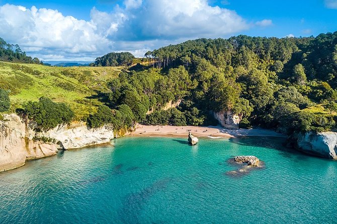 Cathedral Cove & Coromandel Peninsula Small-Group Day Tours - How the Guides Make This Day Tour Feel Personal