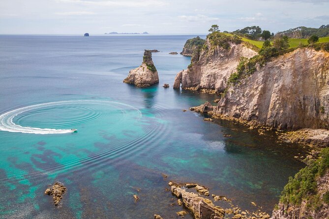 Cathedral Cove & Coromandel, Small-Group Tour from Auckland - The Waikato road trip: farming country, rivers, and big mountain views