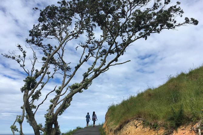 Cathedral Cove Day Trip from Auckland - Key highlights worth centering your day around