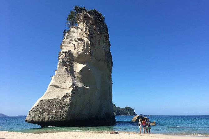 Cathedral Cove Day Trip from Auckland - How this day trip actually feels from Auckland