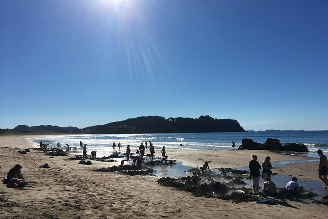 Cathedral Cove Day Trip from Auckland - Stop 1: Hot Water Beach, where the sand gets warm