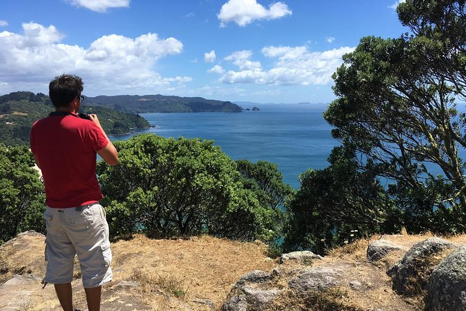 Cathedral Cove Day Trip from Auckland - Stop 2: Cathedral Cove walk through Te Whanganui-a-Hei Marine Reserve