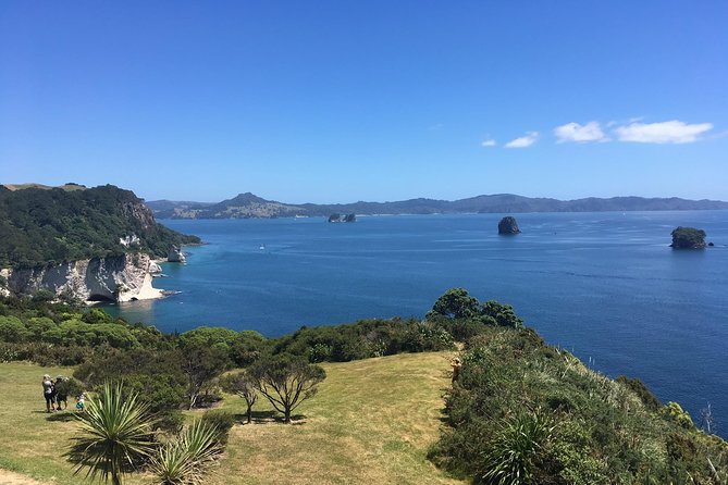 Cathedral Cove Day Trip from Auckland - The guide and the small-group pace that makes it all work