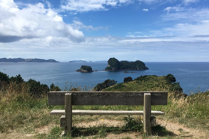 Cathedral Cove Day Trip from Auckland - What to bring, and what to plan for since food is not included