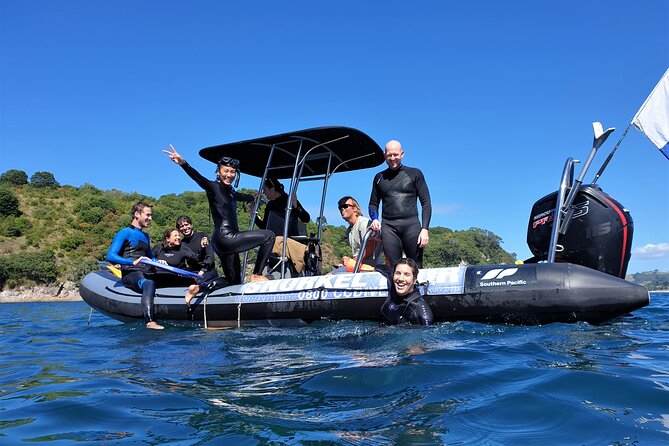 Cathedral Cove Dive & Snorkel- Marine Reserve specialised trips - Key highlights you should care about