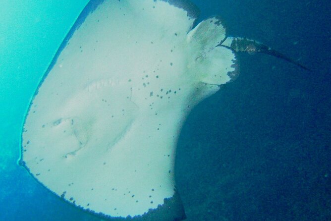 Cathedral Cove Dive & Snorkel- Marine Reserve specialised trips - Warm wetsuits and snorkel gear that won’t fight you