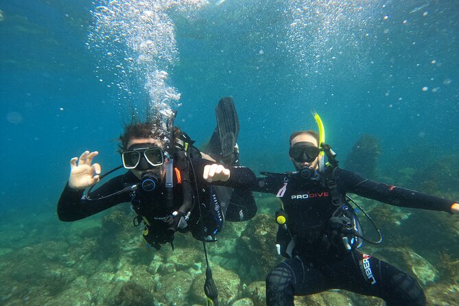 Cathedral Cove Dive & Snorkel- Marine Reserve specialised trips - Hahei after the snorkel: quick turnaround, then you can keep going