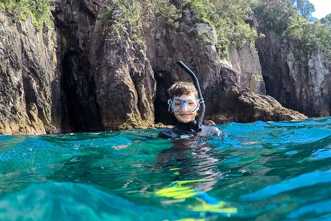 Cathedral Cove Dive & Snorkel- Marine Reserve specialised trips - Price and value: what $98.67 gets you