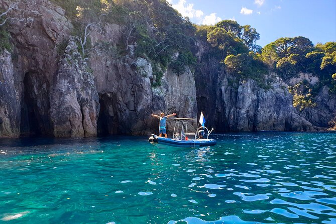 Cathedral Cove Dive & Snorkel- Marine Reserve specialised trips - Who should book this snorkel boat trip?