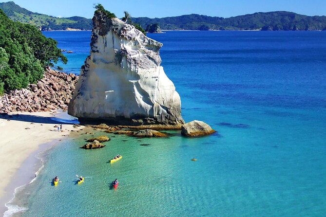 Cathedral Cove Kayak Tour - Wildlife spotting, from stingrays to possible dolphins