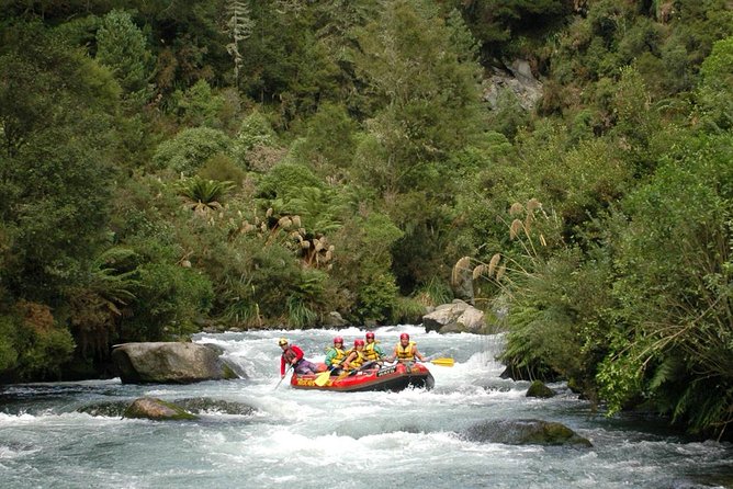 Cathedral Cove Kayak Tour - What to expect from the pace (and how hard it feels)