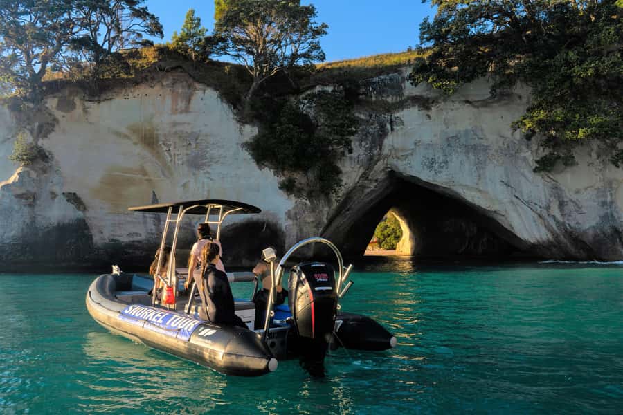 Cathedral Cove Marine Reserve: Snorkeling Boat Trip - Key Points to Know Before You Go