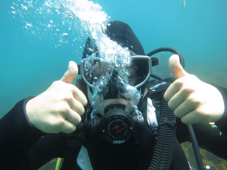 Cathedral Cove Marine Reserve: Snorkeling Boat Trip - Who This Tour Suits Best (and Who Might Want a Different Day)