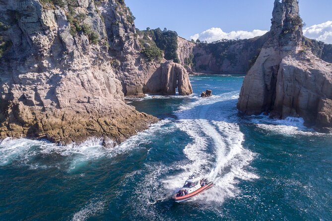 Cathedral Cove Scenic Cruises Whitianga - Key Highlights You Will Actually Care About