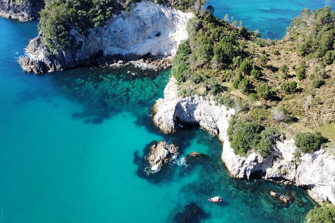 Cathedral Cove Scenic Cruises Whitianga - Where You Meet and How the Timing Feels