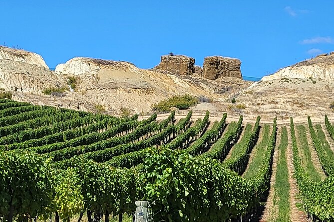 Central Otago Wine Tour Small Group, Expert Guide & Scenic Views - Bannockburn and Carrick Winery: tasting plus a lunch break you control