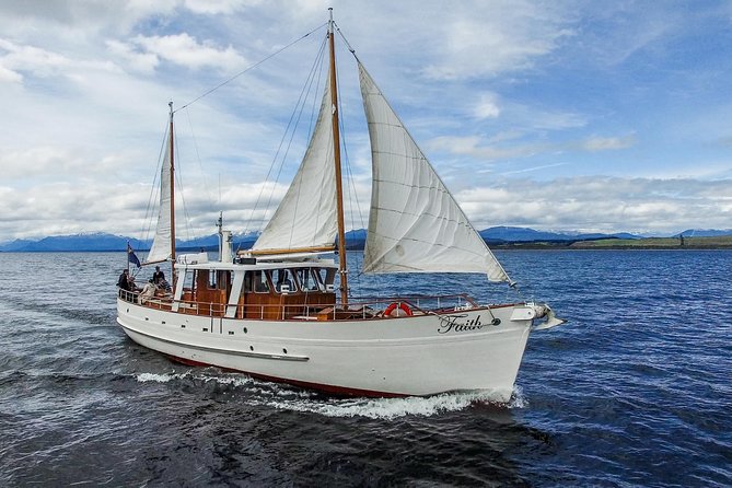 Champagne Sightseeing Cruise on Lake Te Anau - The 6:00 pm timing that turns a short trip into a sunset moment