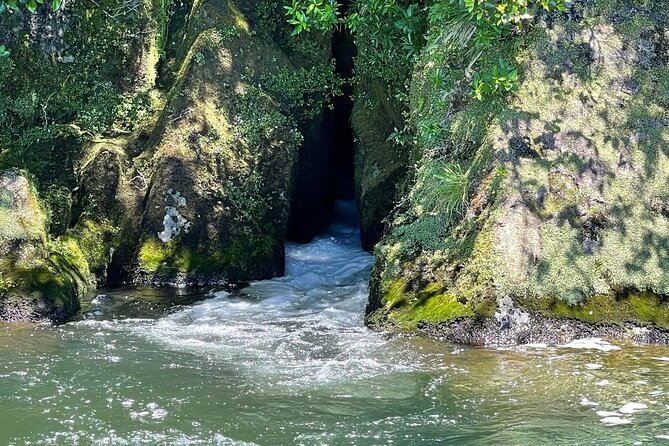 Chasing Waterfalls The Adventurer from Kinloch Marina - Stop 3: Te Papa Bay, the sand bank and Waikino Falls at lake level