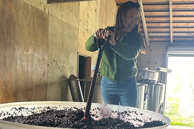 Chef's Private Otago Wine tour with gourmet lunch from Queenstown - Key highlights I’d circle first