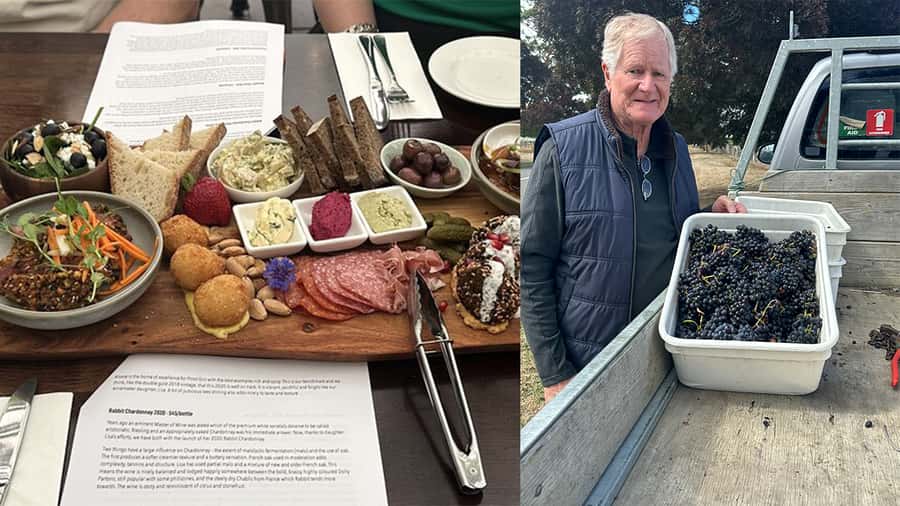 Chefs Private Martinborough wine tour with Gourmet Lunch - Vineyards, micro-producers, and tasting notes you can picture