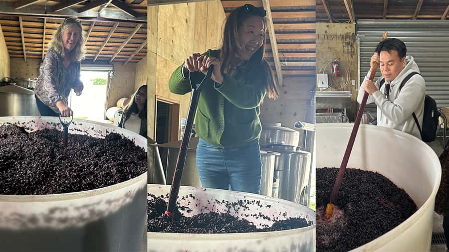 Chefs Private Martinborough wine tour with Gourmet Lunch - Should you book it? My decision guide