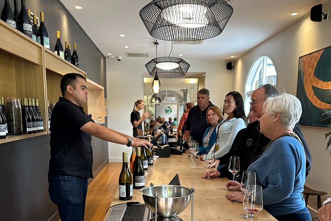 Chefs Private Martinborough Wine Tour with lunch from Wellington - Coney Wines: Seven Tastings, Lisa Coney, and Lunch That Anchors the Day