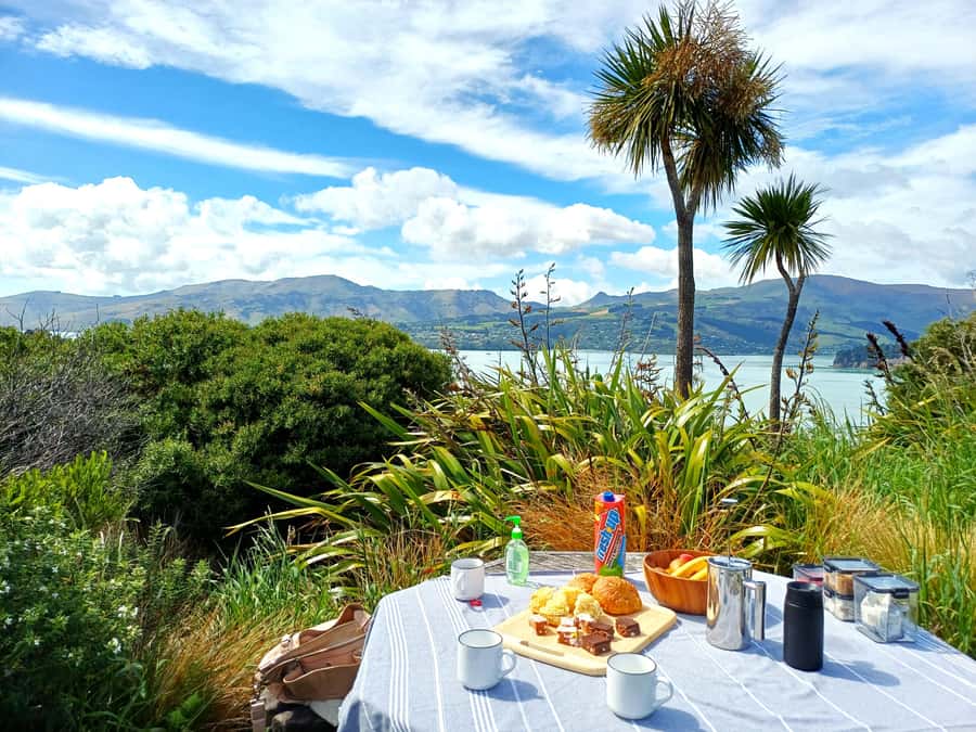 Christchurch: 1/2-Day Scenic Highlights Small Group Tour - Lyttelton Township time: shops, history, and a real town break