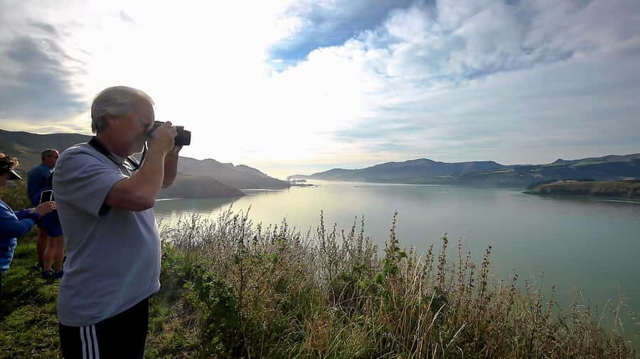 Christchurch: 1/2-Day Scenic Highlights Small Group Tour - Sumner Beach village and your choice of a short walk